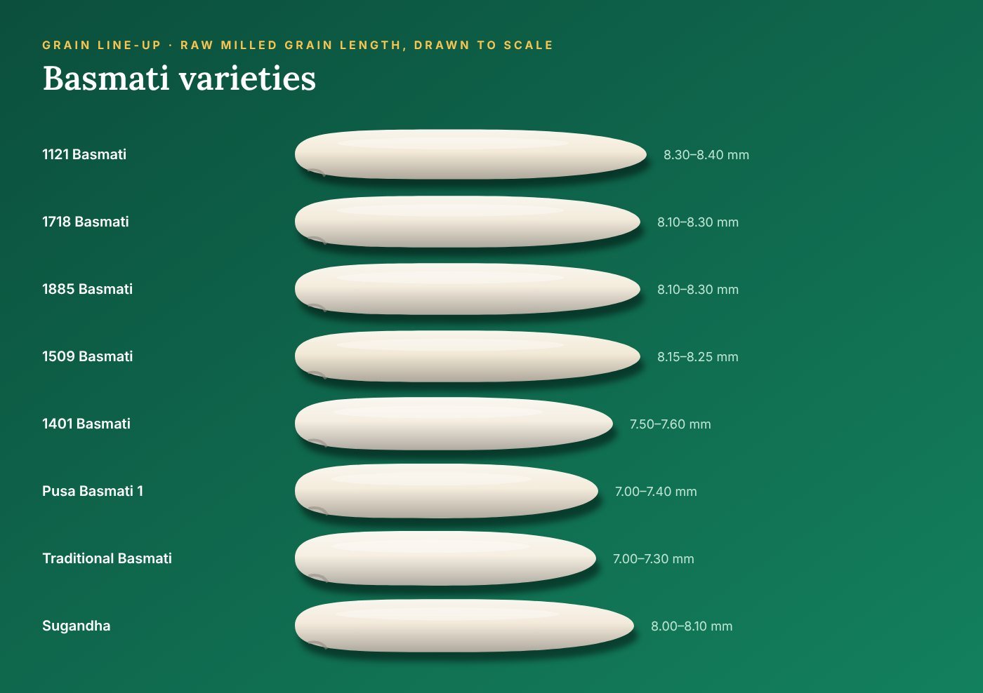 Basmati Rice grain lengths drawn to scale