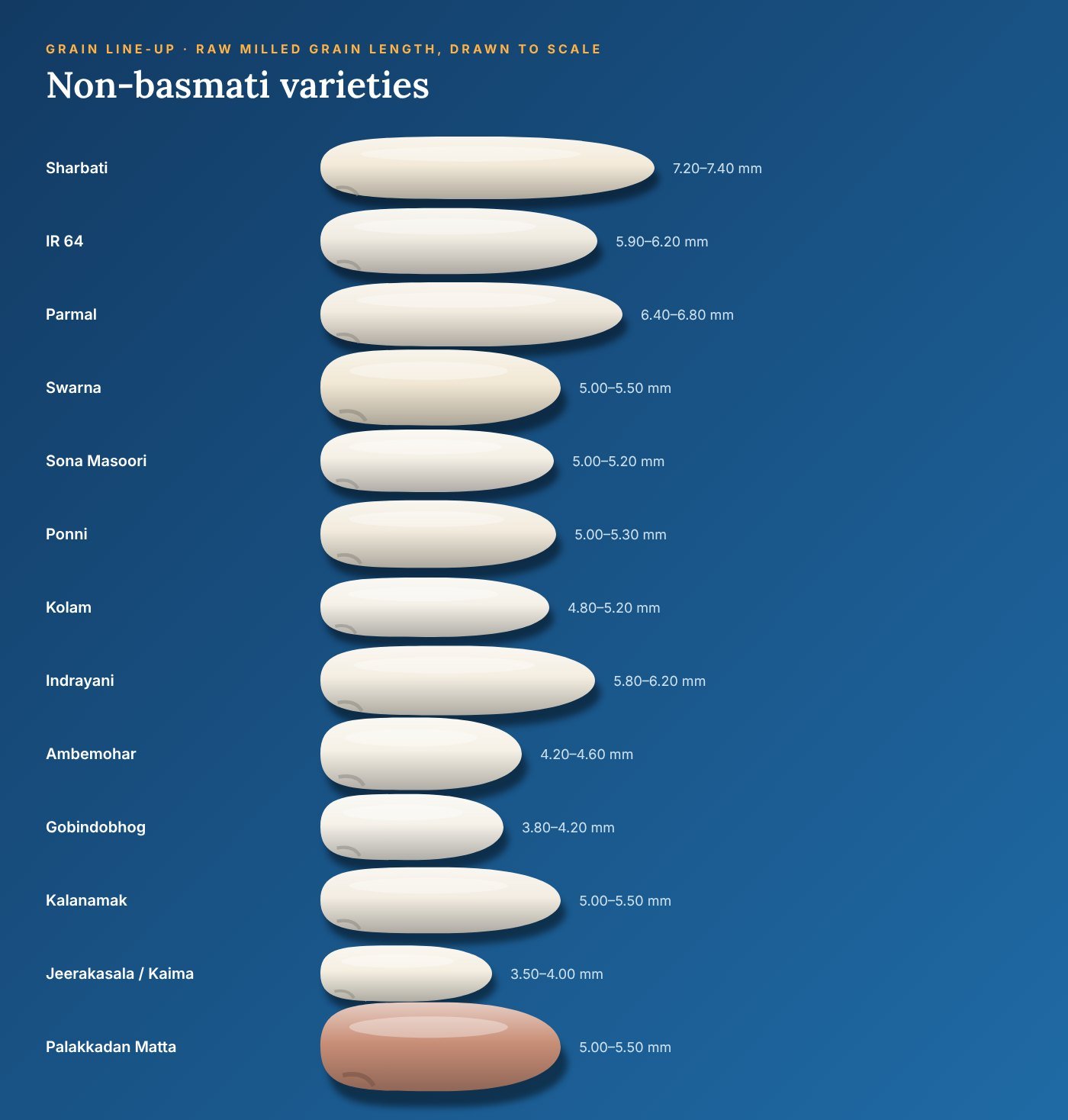 Non-Basmati Rice grain lengths drawn to scale