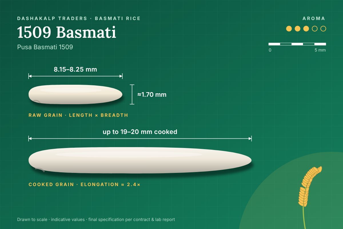 1509 Basmati grain dimensions