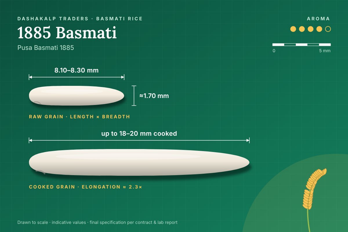 1885 Basmati grain dimensions