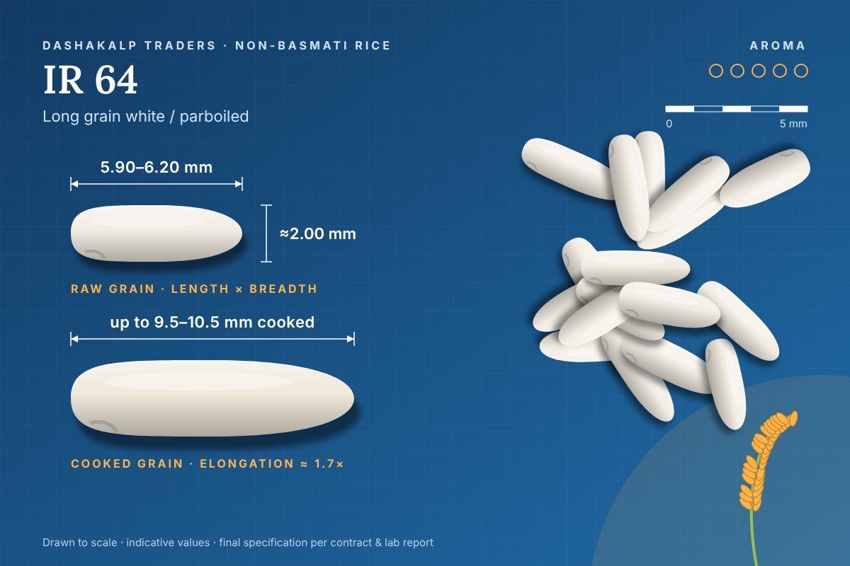 IR 64 grain dimensions