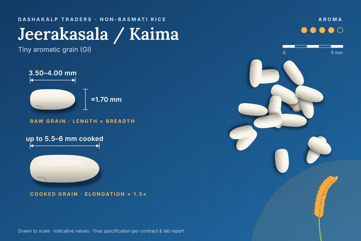 Jeerakasala / Kaima grain dimensions