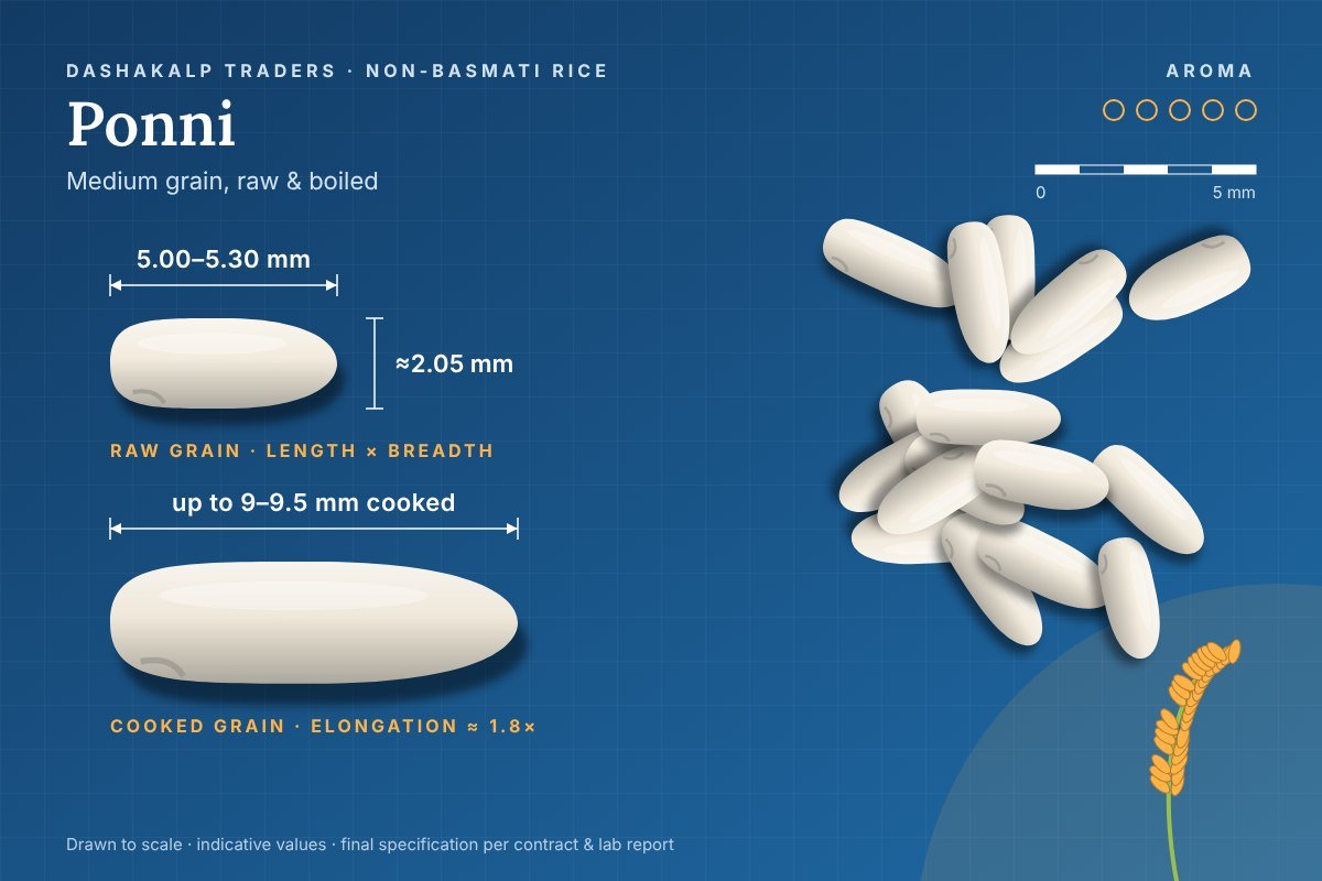 Ponni grain dimensions