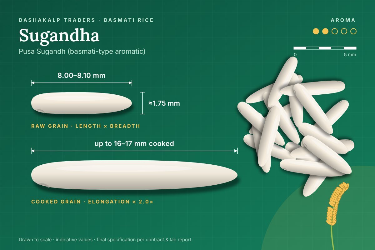 Sugandha grain dimensions