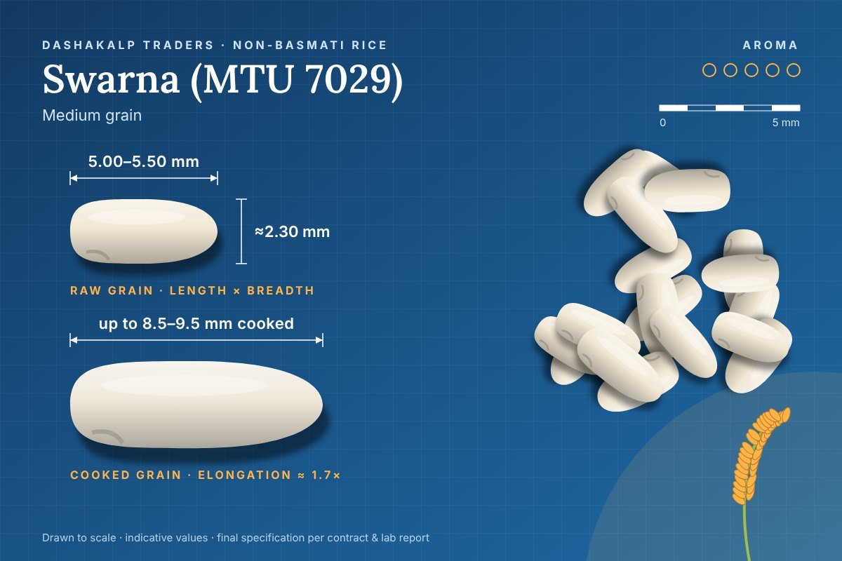 Swarna (MTU 7029) grain dimensions